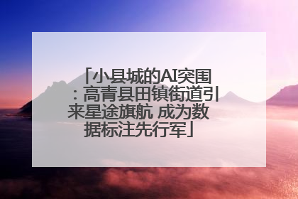 小县城的AI突围：高青县田镇街道引来星途旗航 成为数据标注先行军
