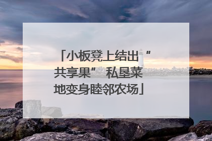小板凳上结出“共享果” 私垦菜地变身睦邻农场