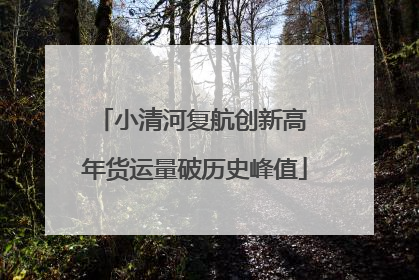 小清河复航创新高 年货运量破历史峰值