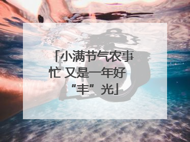 小满节气农事忙 又是一年好“丰”光