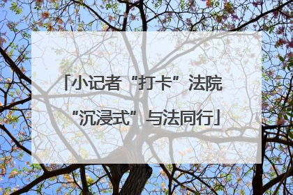 小记者“打卡”法院 “沉浸式”与法同行