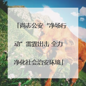 尚志公安“净场行动”雷霆出击 全力净化社会治安环境