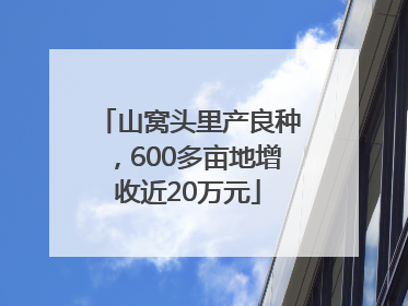 山窝头里产良种，600多亩地增收近20万元