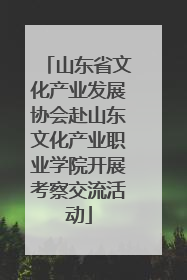 山东省文化产业发展协会赴山东文化产业职业学院开展考察交流活动