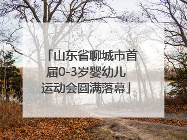 山东省聊城市首届0-3岁婴幼儿运动会圆满落幕