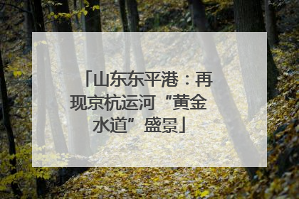 山东东平港：再现京杭运河“黄金水道”盛景
