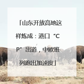 山东开放高地这样炼成：港口“CP”出道，中欧班列跑出加速度