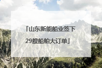山东新能船业签下29艘船舶大订单