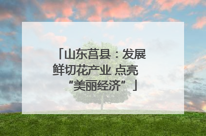 山东莒县：发展鲜切花产业 点亮“美丽经济”