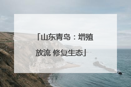 山东青岛：增殖放流 修复生态