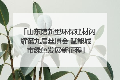 山东馆新型环保建材闪耀第九届丝博会 赋能城市绿色发展新征程