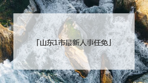 山东1市最新人事任免