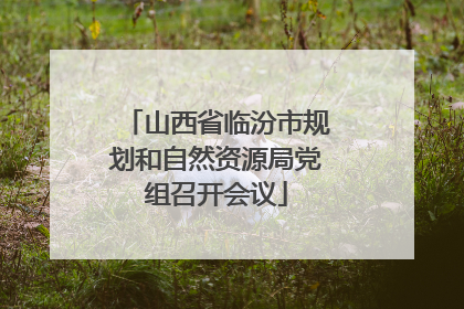 山西省临汾市规划和自然资源局党组召开会议