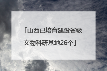 山西已培育建设省级文物科研基地26个