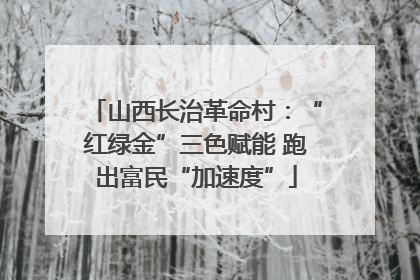 山西长治革命村：“红绿金”三色赋能 跑出富民“加速度”