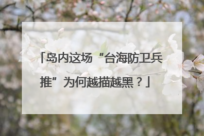 岛内这场“台海防卫兵推”为何越描越黑？