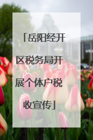 岳阳经开区税务局开展个体户税收宣传