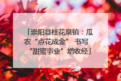 崇阳县桂花泉镇：瓜农“点花成金” 书写“甜蜜事业”增收经