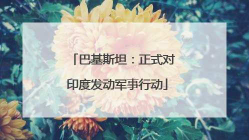 巴基斯坦：正式对印度发动军事行动