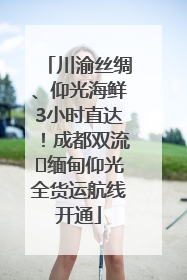川渝丝绸、仰光海鲜3小时直达！成都双流⇌缅甸仰光全货运航线开通