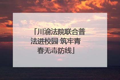 川渝法院联合普法进校园 筑牢青春无毒防线
