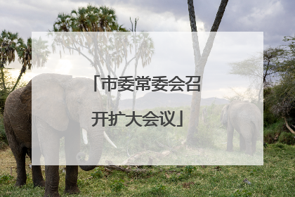 市委常委会召开扩大会议