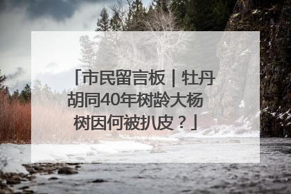 市民留言板｜牡丹胡同40年树龄大杨树因何被扒皮？