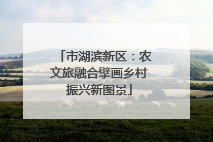市湖滨新区：农文旅融合擘画乡村振兴新图景