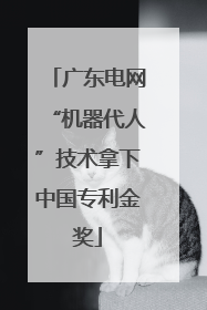 广东电网“机器代人”技术拿下中国专利金奖