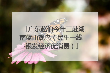 广东赵伯今年三赴湖南蓝山观鸟（民生一线·银发经济促消费）