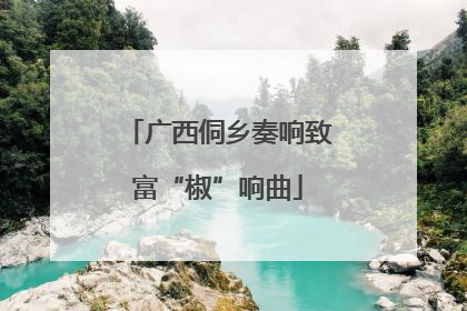 广西侗乡奏响致富“椒”响曲