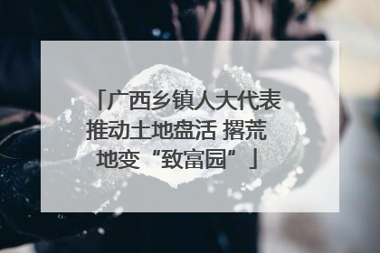 广西乡镇人大代表推动土地盘活 撂荒地变“致富园”