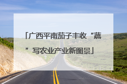 广西平南茄子丰收“蔬”写农业产业新图景