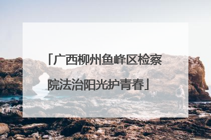 广西柳州鱼峰区检察院法治阳光护青春