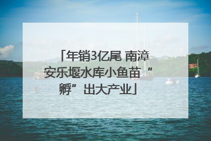 年销3亿尾 南漳安乐堰水库小鱼苗“孵”出大产业