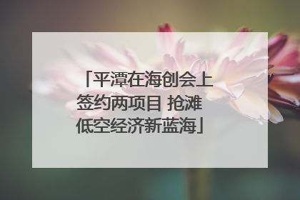 平潭在海创会上签约两项目 抢滩低空经济新蓝海