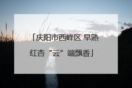 庆阳市西峰区 早熟红杏“云”端飘香