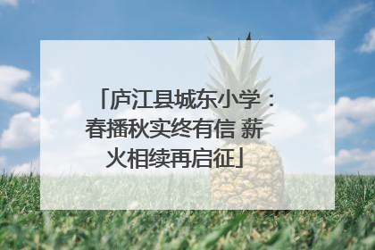 庐江县城东小学：春播秋实终有信 薪火相续再启征