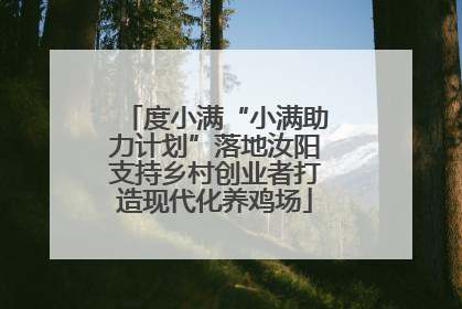 度小满“小满助力计划”落地汝阳支持乡村创业者打造现代化养鸡场