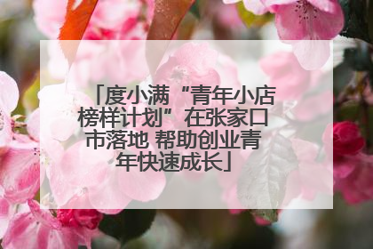 度小满“青年小店榜样计划”在张家口市落地 帮助创业青年快速成长