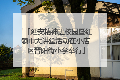 延安精神进校园暨红领巾大讲堂活动在小店区晋阳街小学举行