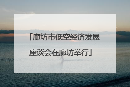 廊坊市低空经济发展座谈会在廊坊举行