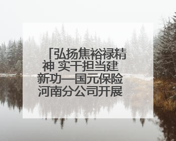 弘扬焦裕禄精神 实干担当建新功—国元保险河南分公司开展“迎七一”主题党日活动