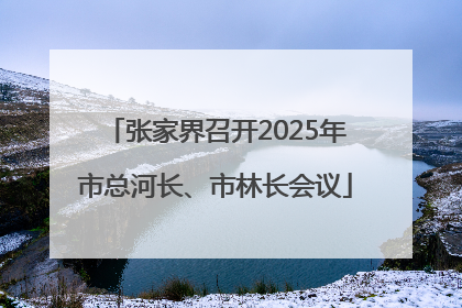张家界召开2025年市总河长、市林长会议