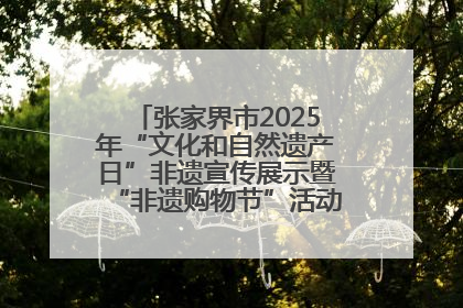 张家界市2025年“文化和自然遗产日”非遗宣传展示暨“非遗购物节”活动在慈利县盛大启幕
