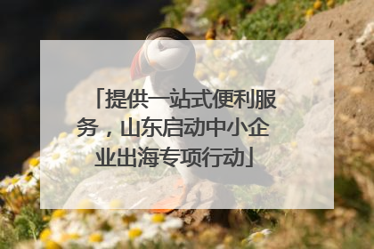 提供一站式便利服务，山东启动中小企业出海专项行动
