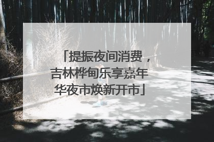 提振夜间消费，吉林桦甸乐享嘉年华夜市焕新开市