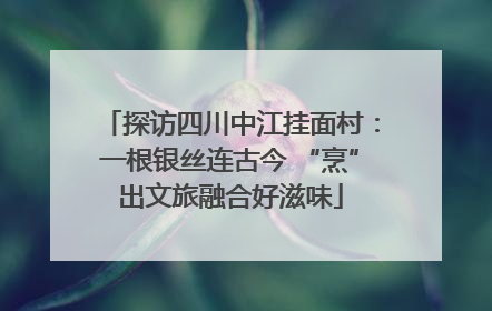 探访四川中江挂面村：一根银丝连古今 “烹”出文旅融合好滋味