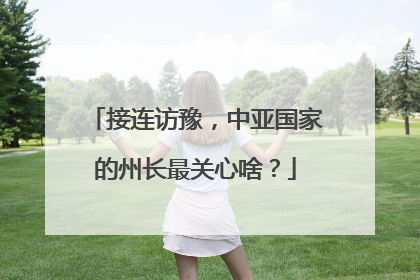 接连访豫，中亚国家的州长最关心啥？