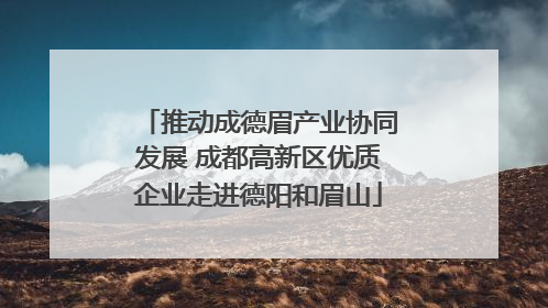 推动成德眉产业协同发展 成都高新区优质企业走进德阳和眉山